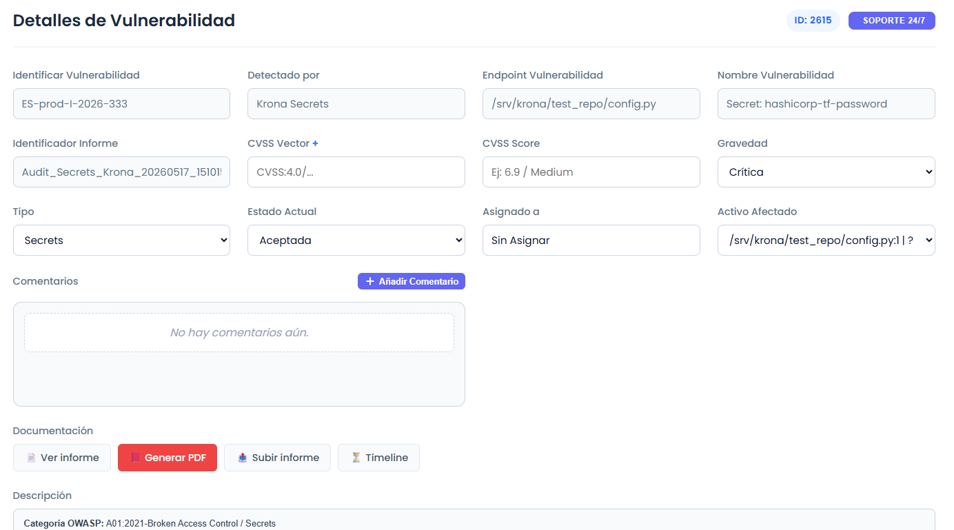Ficha de Detalle de Vulnerabilidad